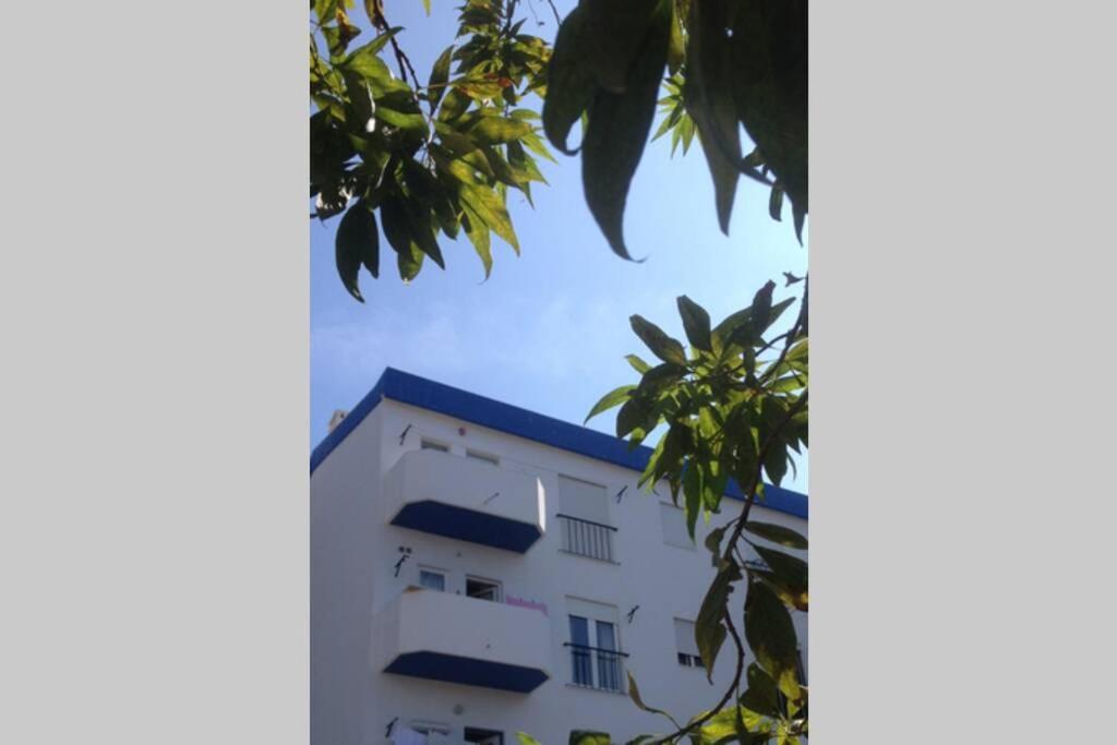 Casa Bela Vista Lagos Center Daire Dış mekan fotoğraf